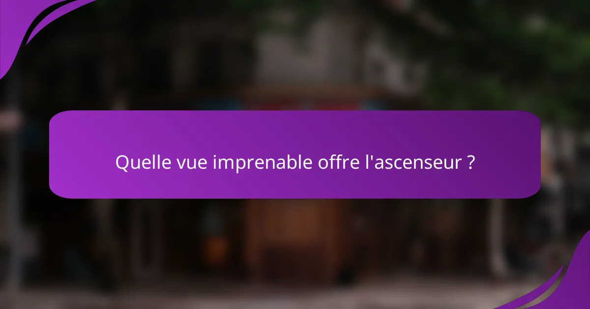Quelle vue imprenable offre l'ascenseur ?