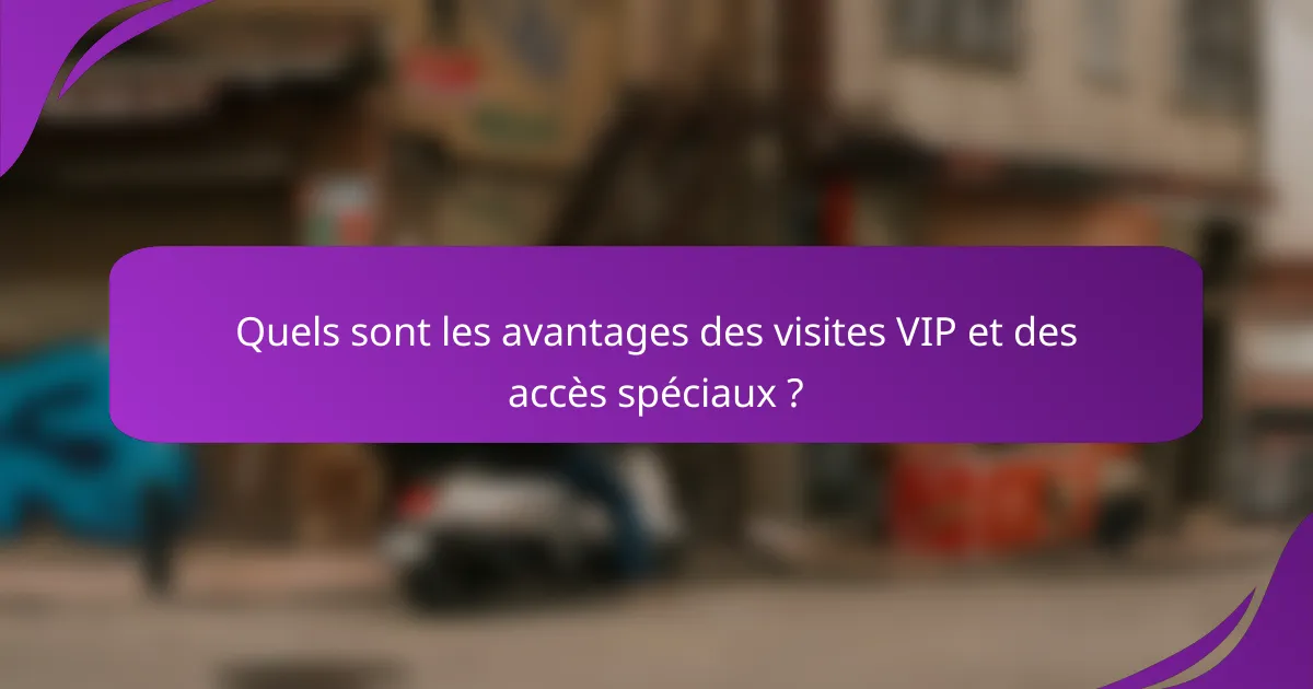 Quels sont les avantages des visites VIP et des accès spéciaux ?